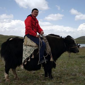 Yak Riding Adventure on the Pamir Highway, Tajikistan
