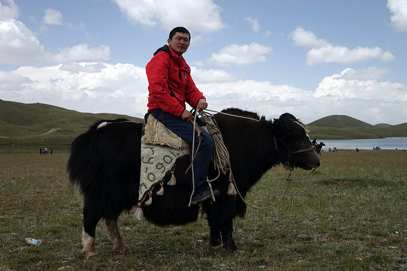 Yak Riding Adventure on the Pamir Highway, Tajikistan Yak Riding Adventure on the Pamir Highway, Tajikistan