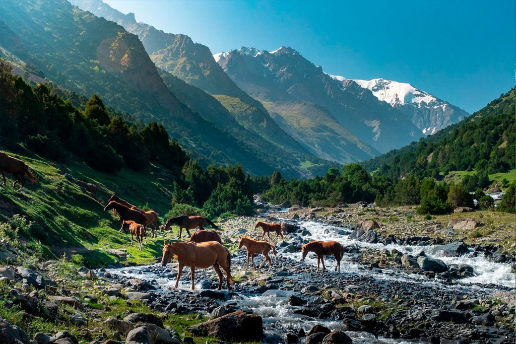 heights_alay_valley_trek