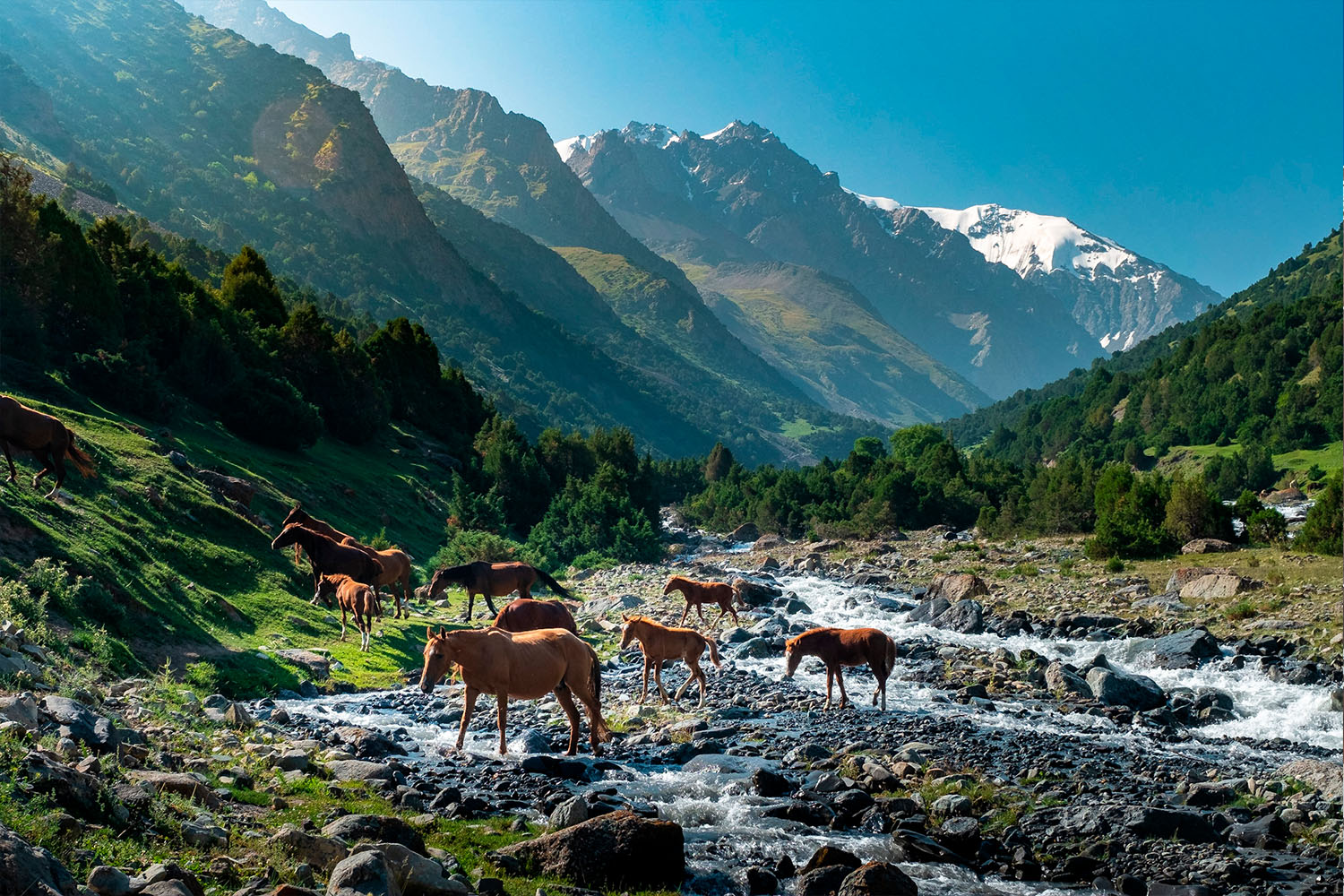 heights_alay_valley_trek