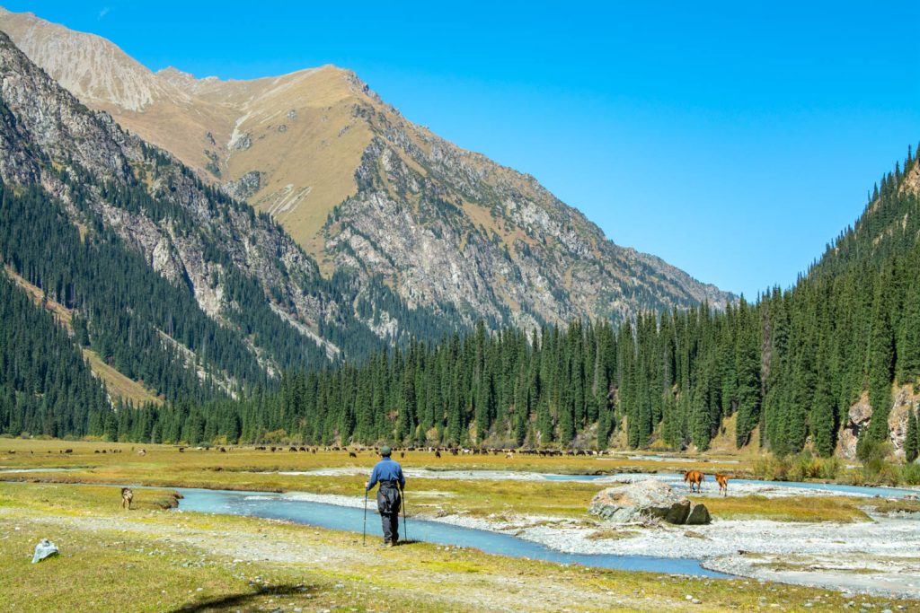 karakol-valley-animals-alakul-kake-tian-shan