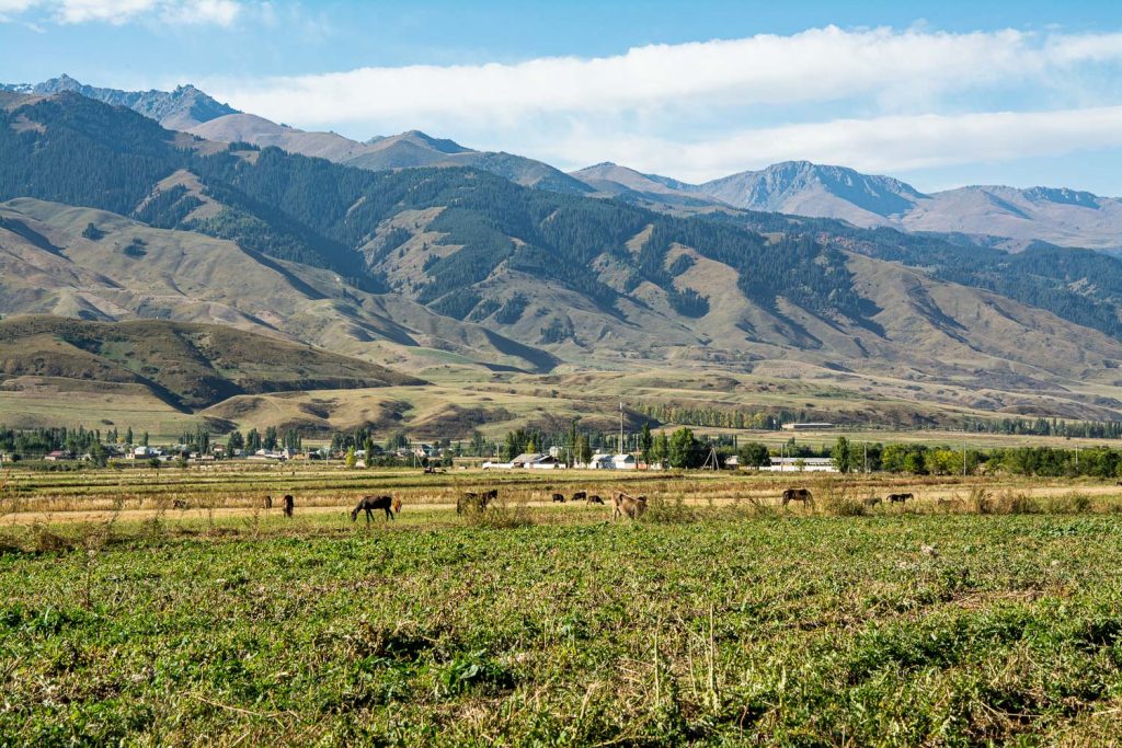 chong_kemin_valley_trek