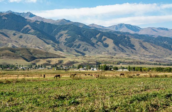 Chong Kemin Valley to Issyk Kul Lake Trek