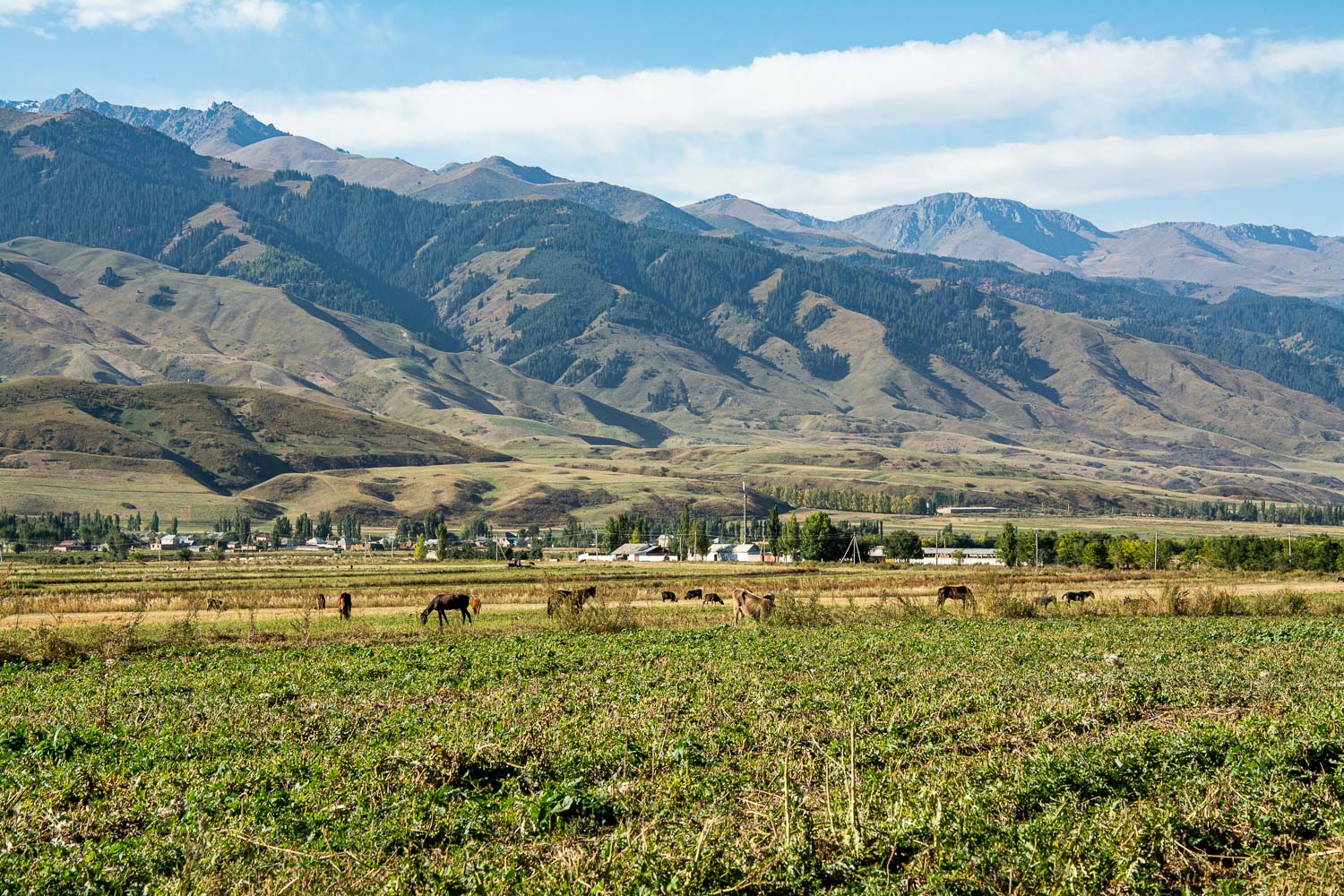 chong_kemin_valley_trek